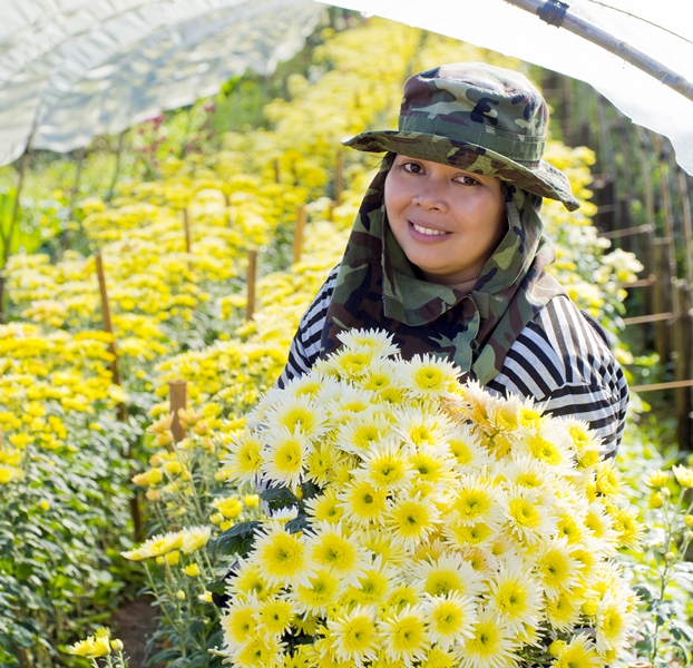 厳しい農業用途専用に開発した独自の革新的な光安定剤システムSABO®STAB UV216を発表